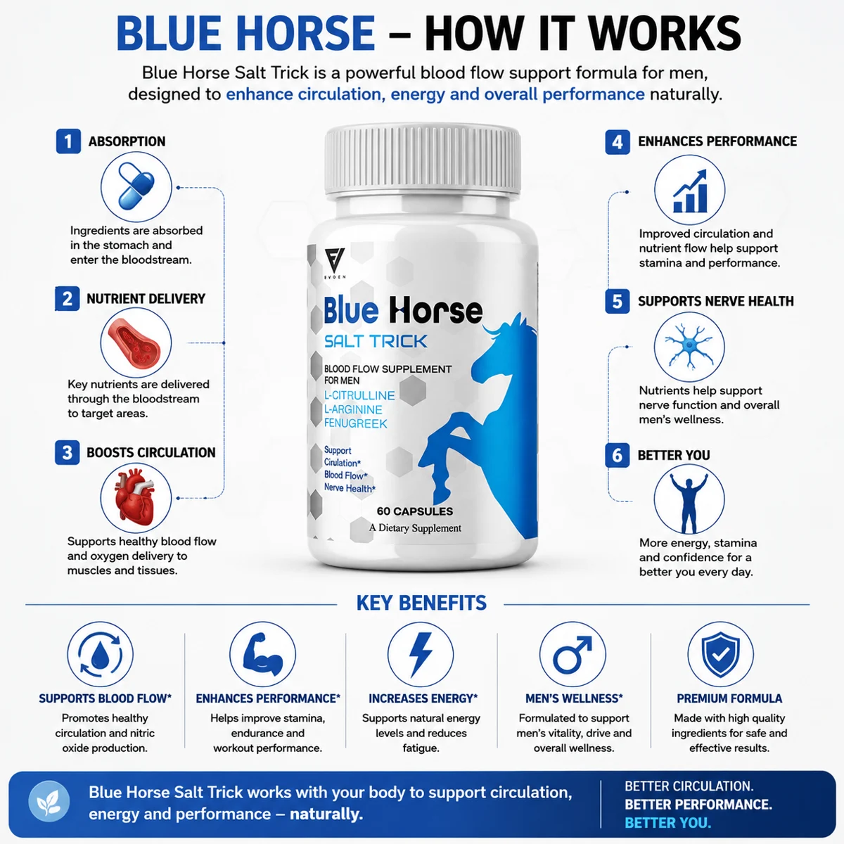 How Blue Horse works infographic